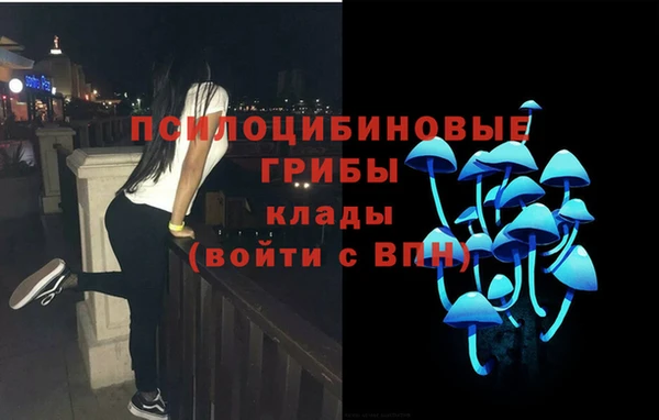 трава Дмитриев