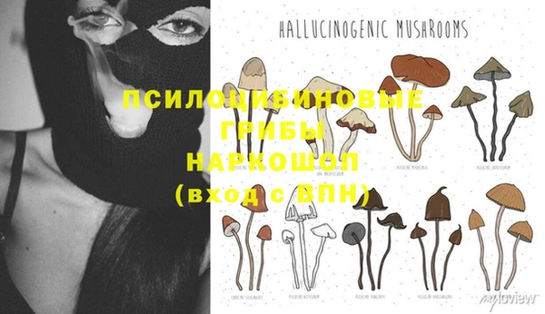 синтетический гашиш Дмитровск
