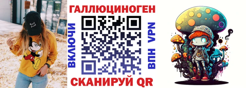 Галлюциногенные грибы Cubensis  как найти   Кочубеевское 
